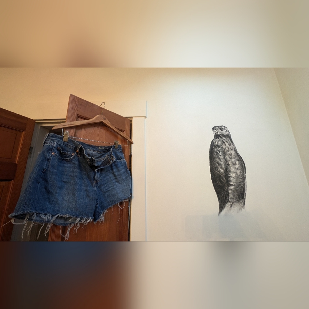 OUTERKNOWN Fillmore Boyfriend Denim Shorts Sz 27 [S.E.A. Jeans ~Sustainable] OBO